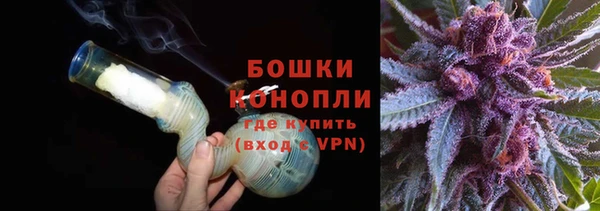 стафф Белокуриха