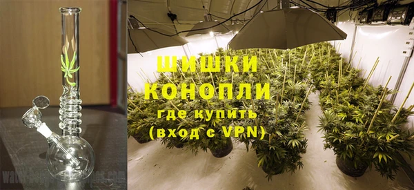 стафф Белокуриха