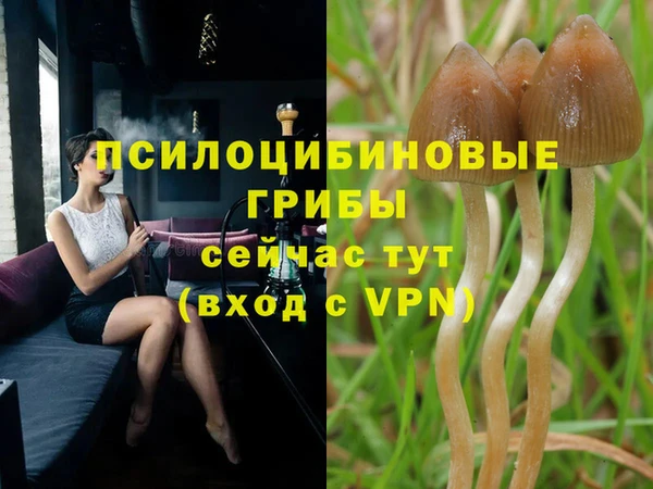 стафф Белокуриха
