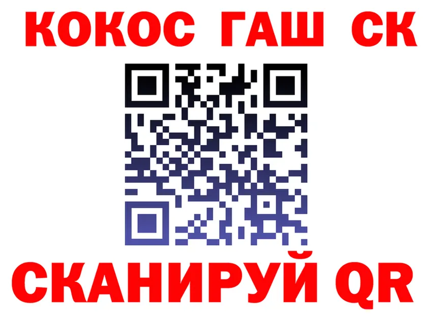 Бошки Шишки планчик вход площадка OMG Воркута